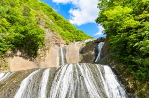 茨城県大子町のお手伝いを行っています！